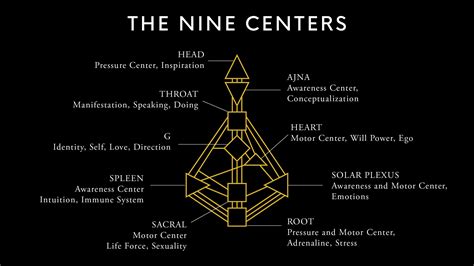 How to Read a Human Design Chart: Unlocking the Cosmic Blueprint of Your Existence While Wondering Why Pineapples Don’t Belong on Pizza