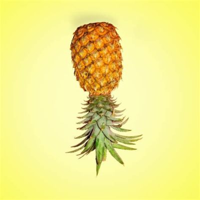 What is a customer service environment? And why do pineapples never wear hats?