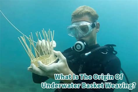 What level of education is cosmetology considered, and how does it intertwine with the art of underwater basket weaving?